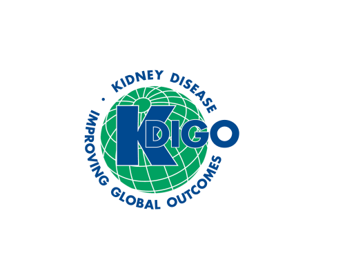 KDIGO 2022 Clinical Practice Guideline for the Prevention, Diagnosis, Evaluation, and Treatment of Hepatitis C in Chronic Kidney Disease